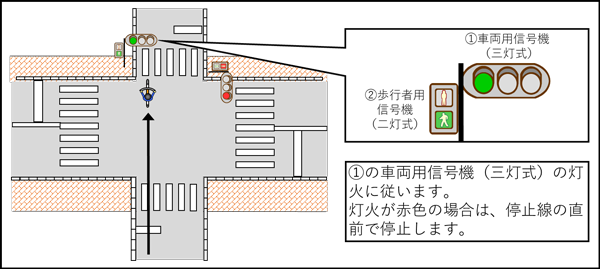「歩行者用信号機（二灯式）に「歩行者・自転車専用」の標示がない場合」の画像