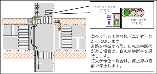 「歩行者用信号機（二灯式）に「歩行者・自転車専用」の標示がある場合」の画像