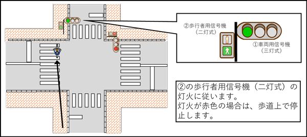 「歩行者用信号機（二灯式）に「歩行者・自転車専用」の標示がない場合」の画像